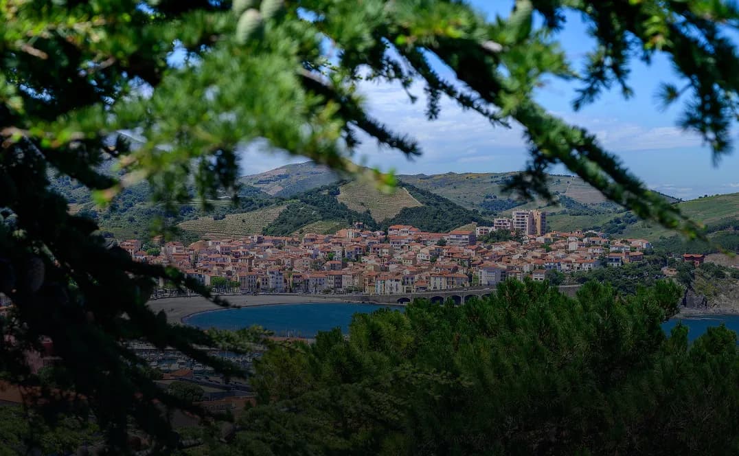 Investir autour de Pics Studio à Saint-Gély : l'opportunité 2026-2028
