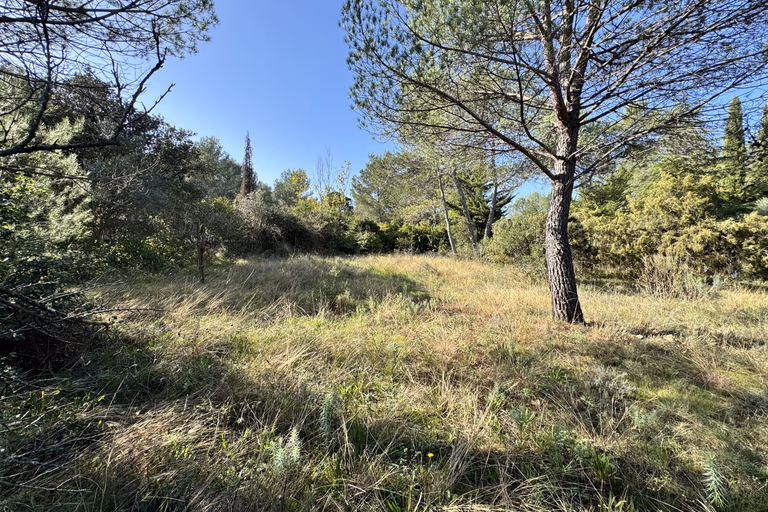 Montferrier-Sur-Lez très beau terrain à la Devèze