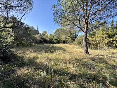 Montferrier-Sur-Lez très beau terrain à la Devèze