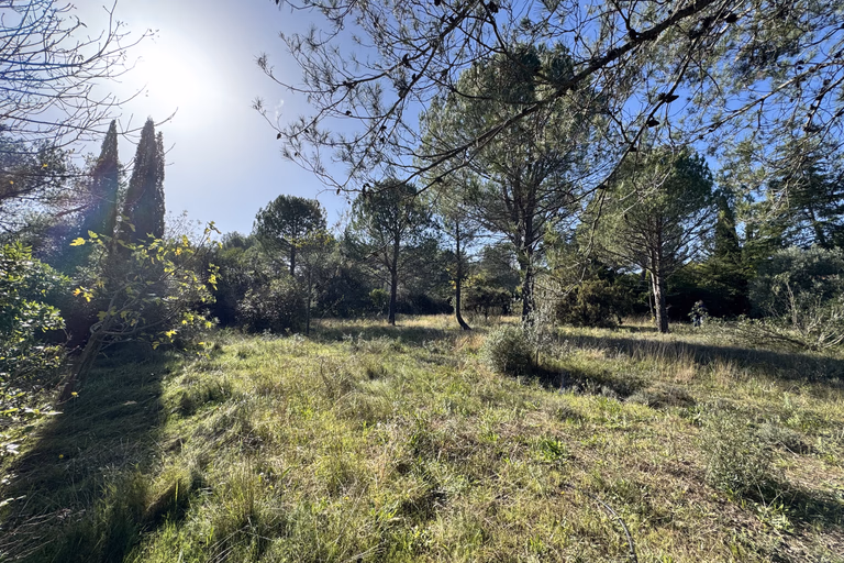 Montferrier-Sur-Lez très beau terrain à la Devèze