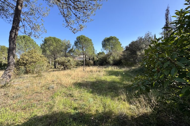 Montferrier-Sur-Lez très beau terrain à la Devèze