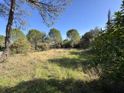 Montferrier-Sur-Lez très beau terrain à la Devèze