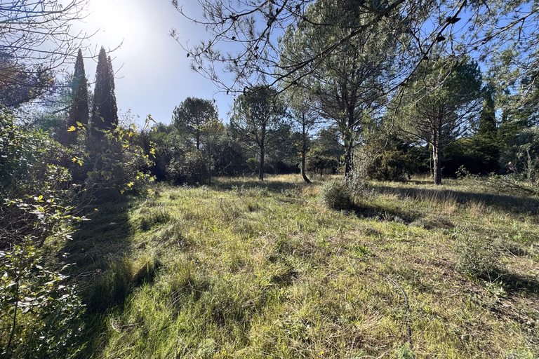 Montferrier-Sur-Lez très beau terrain à la Devèze