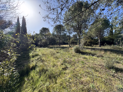 Montferrier-Sur-Lez très beau terrain à la Devèze