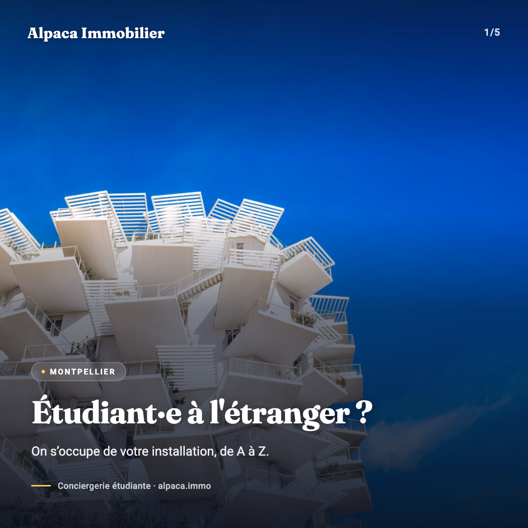 Étudiante à l'étranger : Alpaca s'occupe de l'installation de A à Z