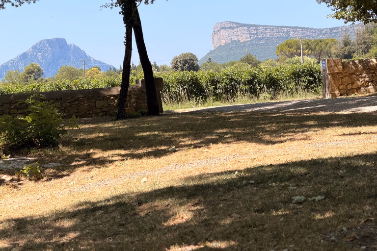 uma vue pic saint loup hortus