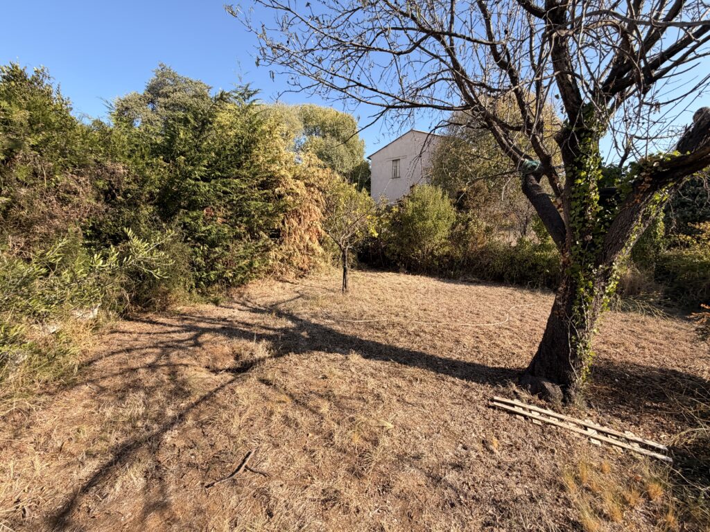 Terrain sec avec herbe brune, arbre sans feuilles au premier plan, buissons et maison en arrière-plan ciel bleu.