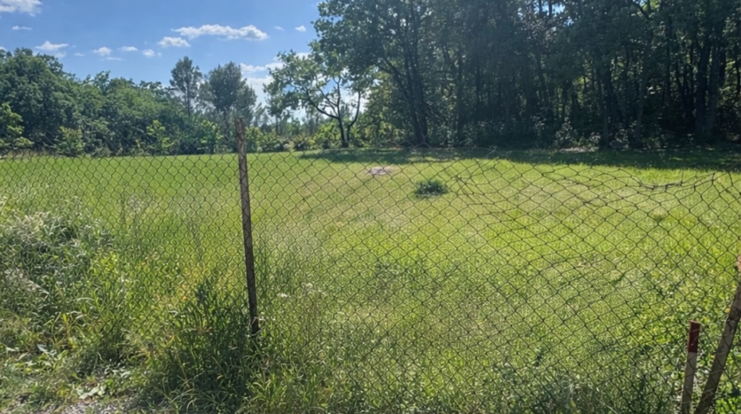 Champ herbeux clôturé par une barrière grillagée au bord d'un chemin de gravier sous ciel bleu.